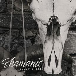 Shamanic Sleep Spell - Collection of New Age Tribal Music Dedicated to People Who Have Problems with Sleep Disorders of Any Type, Insomnia Relief, Deep Sleep, Inner Silence, Pure Relaxation - Trouble Sleeping Music Universe