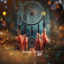 Atrapasueños - Tundra Frost