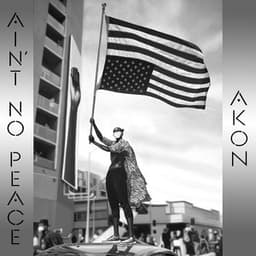 Ain’t No Peace - Akon