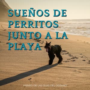 Sueños De Perritos Junto A La Playa: Meneo De Las Olas Del Océano - ASMR Dinamarca