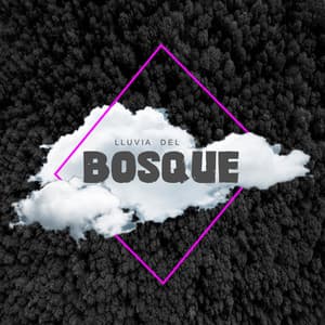 Lluvia Del Bosque - Fábrica De Lluvia