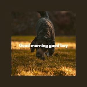 Good morning good boy - Music for Dog's Ears
