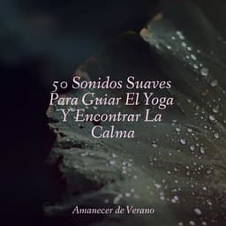 50 Sonidos Suaves Para Guiar El Yoga Y Encontrar La Calma - Musica Romantica Ensemble