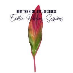 Beat the High Level of Stress. Exotic Healing Sessions - Exotic Power Maker
