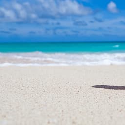 Silent Depths' Slumber Song - Spiritloom