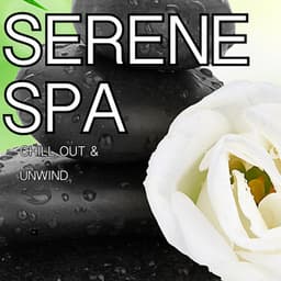 Serene Spa - Chakra's Dream