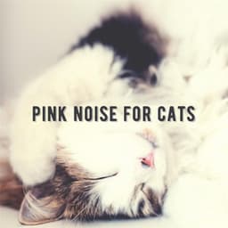 Pink Noise for Cats - Pet Therapy