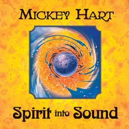 Spirit Into Sound - Mickey Hart