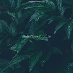 Rain Sleep Sounds - Derrol