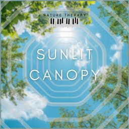 Sunlit Canopy - Nature Therapy