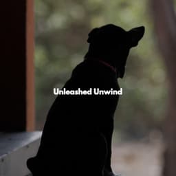 Unleashed Unwind - Jazz Café Bar