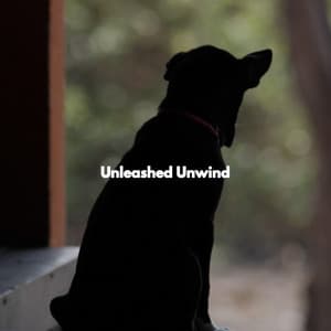 Unleashed Unwind - Jazz Café Bar