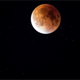 Essential Sleep Aid Classical Healing - Study Concentration