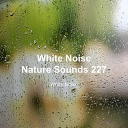 White Noise 227 - White Noise
