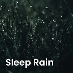 Sleep Rain - JBE Nature Sounds