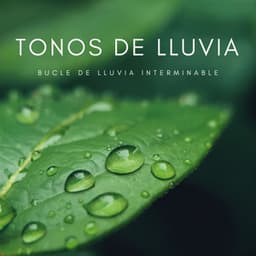 Tonos De Lluvia: Bucle De Lluvia Interminable - Sonidos de la Naturaleza Ruido Blanco Para Bebes