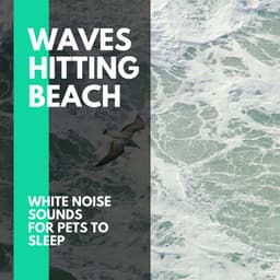 Waves Hitting Beach - White Noise Sounds for Pets to Sleep - Incredible Oceans