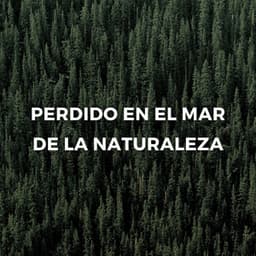 Perdido En El Mar De La Naturaleza - Resplandor de la naturaleza