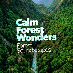 Calm Forest Wonders - Forest Soundscapes