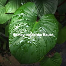 Homey inside the House - Wednesday Morning Jazz Playlist