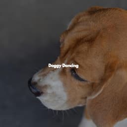 Doggy Dancing - Classic Jazz Chill