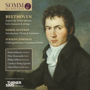Beethoven, Küffner & Strauss: Chamber Works - Emma Johnson