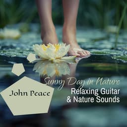 Sunny Day in Nature: Relaxing Guitar Music with Nature Sounds, Enter The Sanctuary of Serenity - John Peace