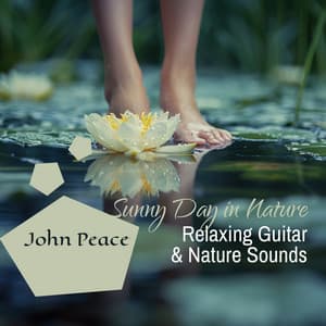 Sunny Day in Nature: Relaxing Guitar Music with Nature Sounds, Enter The Sanctuary of Serenity - John Peace