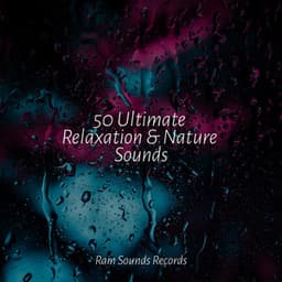 50 Ultimate Relaxation & Nature Sounds - Rain Sound Studio