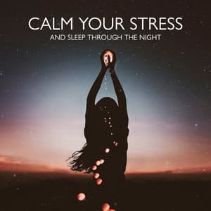 Calm Your Stress and Sleep Through the Night: Soothing Music for Insomnia Relief - Deep Dream Oasis