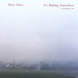 It's Raining Somewhere - Steve Nieve