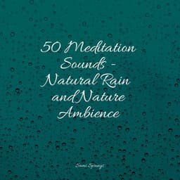 50 Meditation Sounds - Natural Rain and Nature Ambience - Lluvia