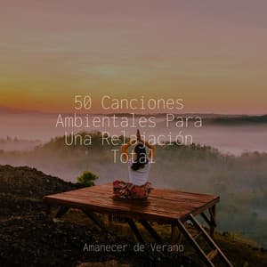 50 Canciones Ambientales Para Una Relajación Total - Sleep Baby Sleep