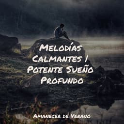 Melodías Calmantes | Potente Sueño Profundo - Meditación Maestro