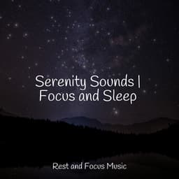 Serenity Sounds | Focus and Sleep - Deep Focus