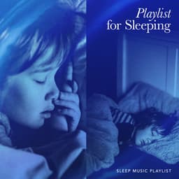 Playlist for Sleeping - Sleep Music Playlist