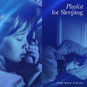 Playlist for Sleeping - Sleep Music Playlist