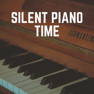 Silent Piano Time - Piano Dreams