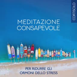 Meditazione consapevole per ridurre gli ormoni dello stress : Meditazione guidata per cambiare la tua energia, Umore o stato emotivo - Musica Relax Academia