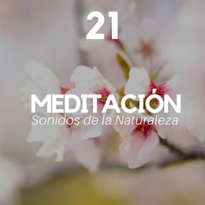 21 Meditación - Música de Fondo para Meditar, Sonidos de la Naturaleza, Música Relajante para Equilibrar los 7 Chakras - Sueño Real