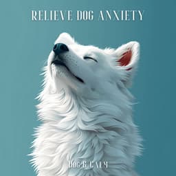 Relieve Dog Anxiety - Dog & Calm