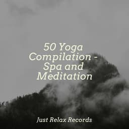50 Yoga Compilation - Spa and Meditation - Meditation