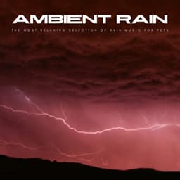 Ambient Rain: The Most Relaxing Selection Of Rain Music For Pets - Dogs at Home