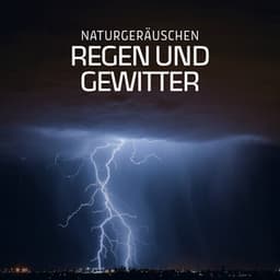 Naturgeräuschen: Regen und Gewitter - Regengeräusche Orchester von TraxLab
