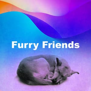 Furry Friends - Doggy Music