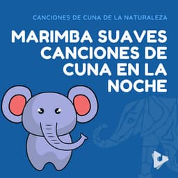 Marimba Suaves Canciones de Cuna en la Noche - Canciones de Cuna de la Naturaleza