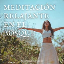 Meditación Relajante En El Bosque: Susurros Del Bosque - Bosque Ocupado