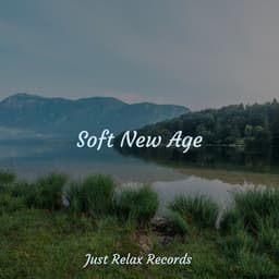 Soft New Age - Lounge Music Café