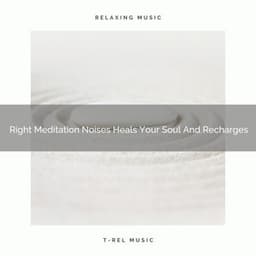 Right Meditation Noises Heals Your Soul And Recharges - Spa And Soft Relax