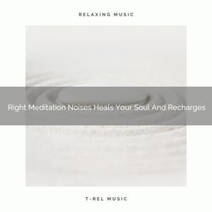 Right Meditation Noises Heals Your Soul And Recharges - Spa And Soft Relax